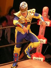 080528mir.jpg