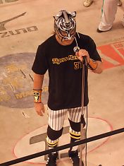 080725tigers2.jpg