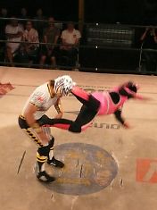 080730547.jpg