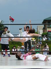 0808427.jpg