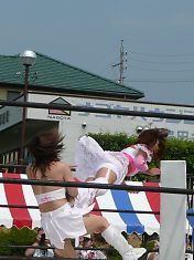 0808429.jpg