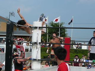 0808514.jpg