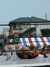 0808535.jpg