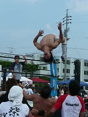 0808540.jpg