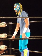 080923201.jpg