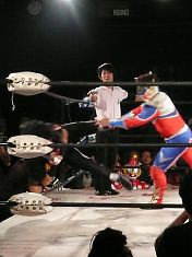 080923535.jpg
