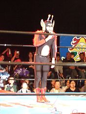 081026harist1.jpg
