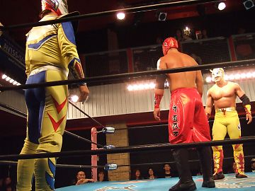 081116329.jpg