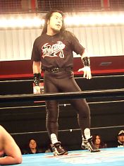 081120bufa.jpg