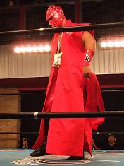 090226hideyoshi.jpg