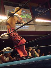 090402kotouge.jpg