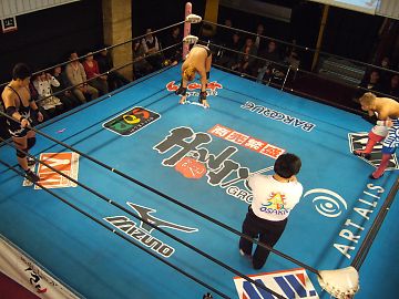 09040453.jpg