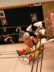 oP1060529.jpg